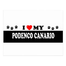 PODENCO CANARIO POST CARD