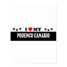 PODENCO CANARIO POSTCARD
