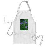 Podophyllum Versipelle flowers aprons