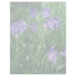 Podophyllum Versipelle flowers Custom Letterhead