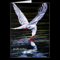poetic motion cards