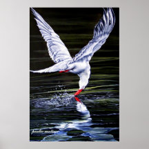 poetic motion print