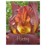 Poetry paper letterhead Poem Collection Irises