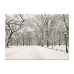 Poet's Walk - Central Park - New York City Gallery Wrapped Canvas
