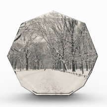 Poet's Walk - Central Park Winter Acrylic Award