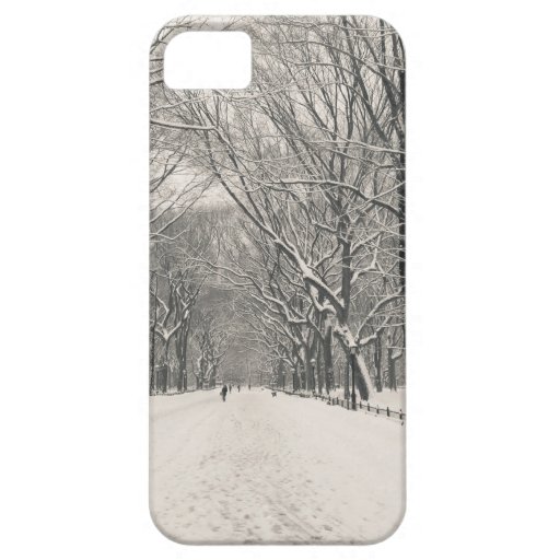 Poet's Walk - Central Park Winter iPhone 5 Cases