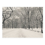 Poet's Walk - Central Park Winter Post Cards