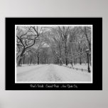 Poet's Walk - Travel Poster