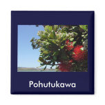 Pohutukawa Tree and Blossom Fridge Magnets
