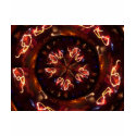 Poi Show t-shirts by timtoe Poi Show t-shirts