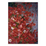 Poinciana, Darwin. Greeting Card