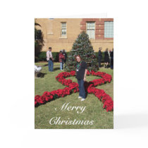 Poinsetia Ribbon cards