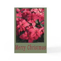 Poinsetta Greeting Cards