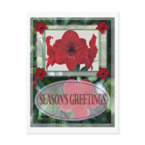 POINSETTA FRAME POST CARD