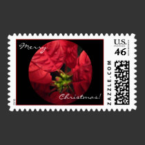 Poinsetta on black postage by stucker111 Poinsetta on black postage