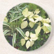 poinsettia2 beverage coasters
