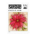 Poinsettia and Holly Postage Stamp stamp