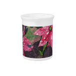 Poinsettia Beverage Pitchers
