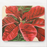 "Poinsettia" by Jenny Koch Mouse Pad