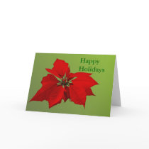 Poinsettia cards
