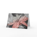 Poinsettia cards