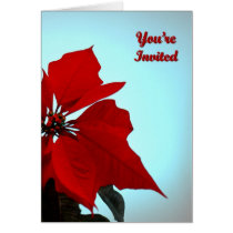 Poinsettia cards