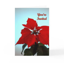 Poinsettia cards