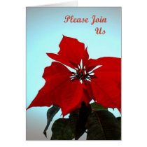 Poinsettia cards