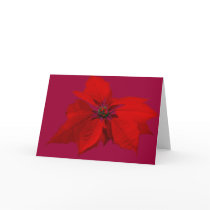 Poinsettia cards