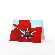 Poinsettia cards