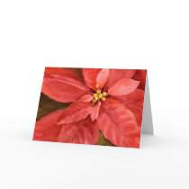 Poinsettia Christmas Card 09poinsettia1-1