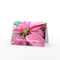 Poinsettia Christmas Greeting Card
