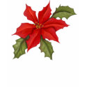 Poinsettia Christmas t-shirts by Spice Poinsettia Christmas t-shirts
