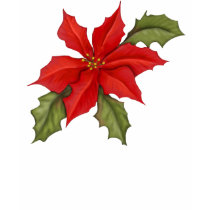 Poinsettia Christmas t-shirts