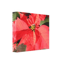 Poinsettia Flowers Canvas Print