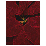 Poinsettia Personalized Flyer