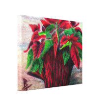 Poinsettia Gallery Wrapped Canvas