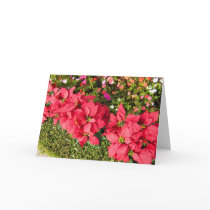 Poinsettia Garden Card