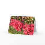 Poinsettia Garden Card