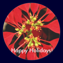 Poinsettia - Happy Holidays Sticker