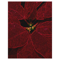 Poinsettia letterhead