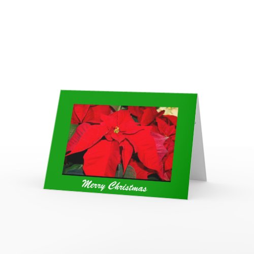 Poinsettia, Merry Christmas card