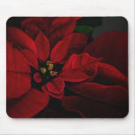 Poinsettia Mousepad