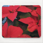 Poinsettia mousepad