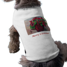 Poinsettia Pet Clothing