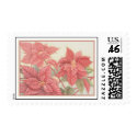 Poinsettia postage by boiscanot Poinsettia postage