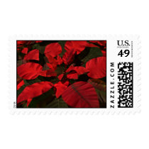 christmas, poinsettia, Selo postal com design gráfico personalizado