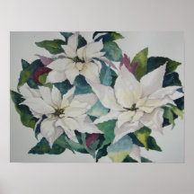 Poinsettia Poster