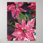 Poinsettia Print