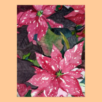 Poinsettia posters